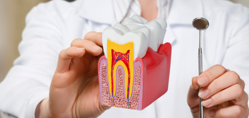 Balçova Çocuk Diş Hekimi: Bebek ve Çocuklarda Diş Sağlığı 2026